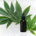CBD Oil for Anxiety: Does It Work?